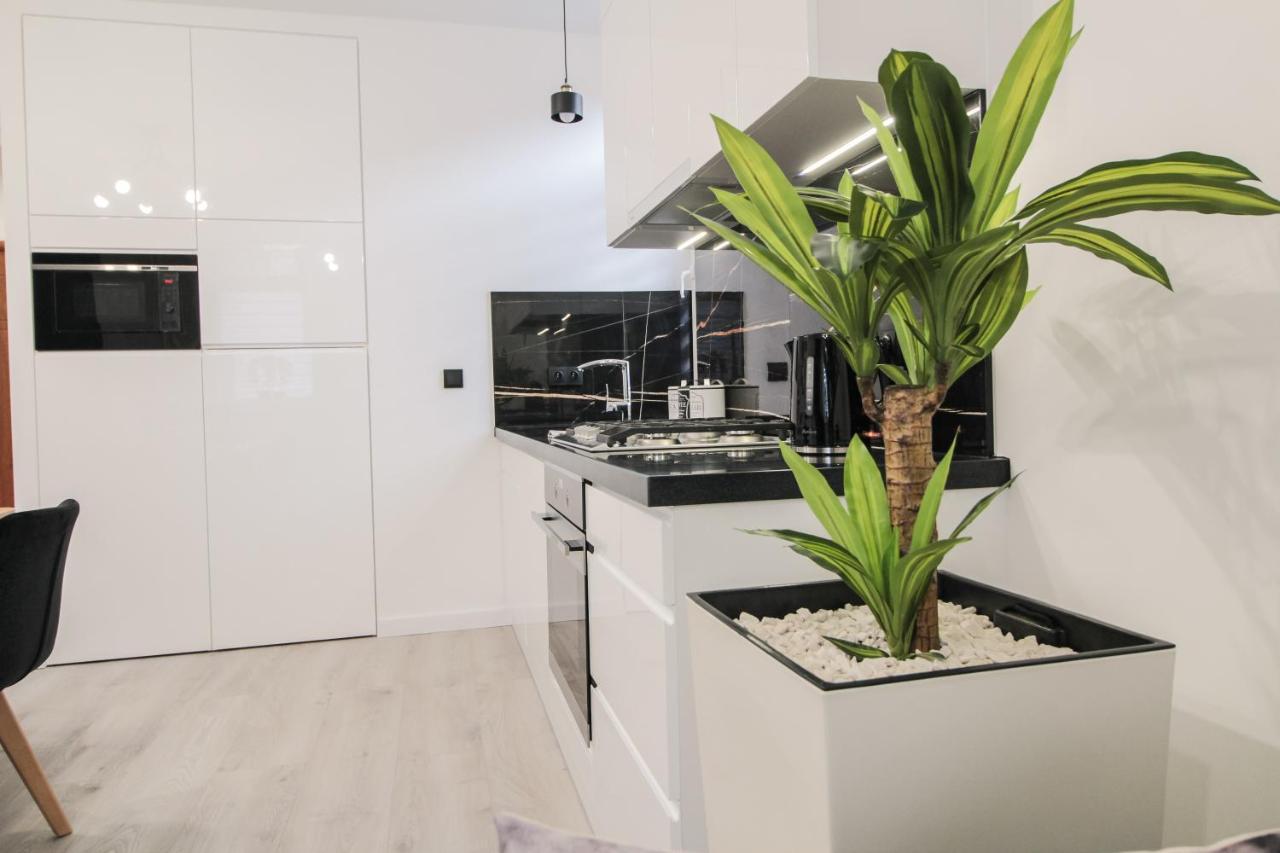 Apartament Zloty Jelen Krynica-Zdrój Kültér fotó